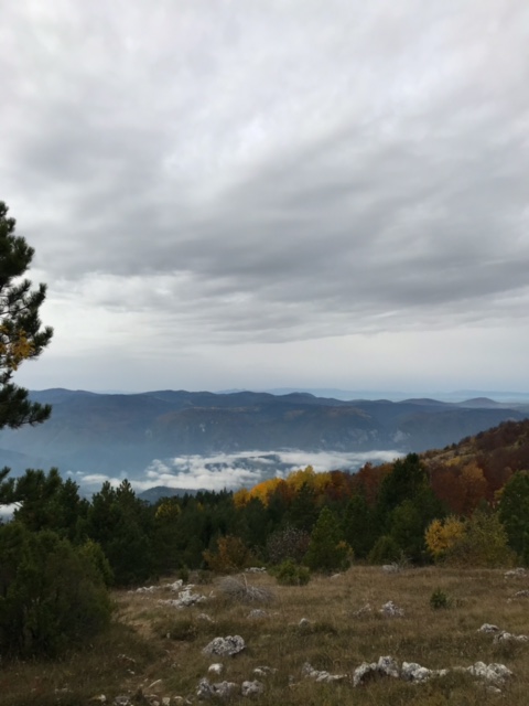 Vrh Janjač na Tari